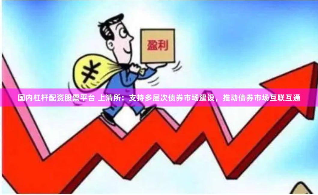 国内杠杆配资股票平台 上清所：支持多层次债券市场建设，推动债券市场互联互通